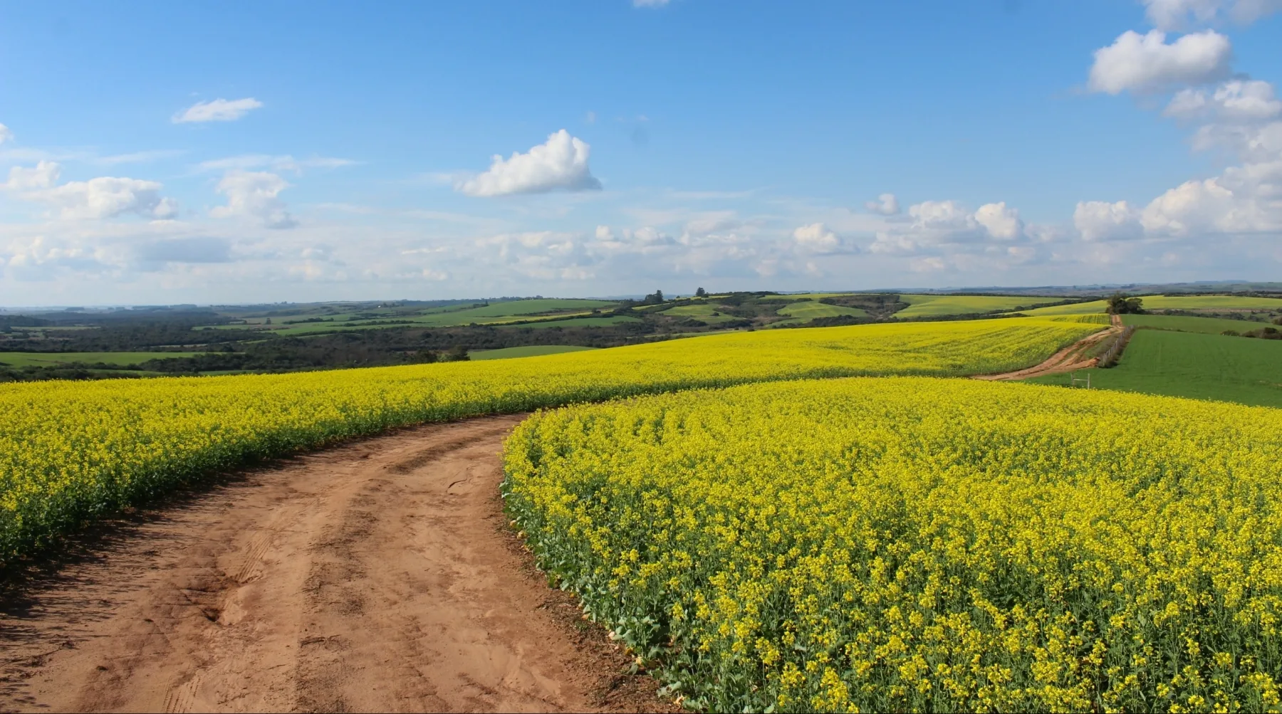 Farm & Ranch Insurance Oregon